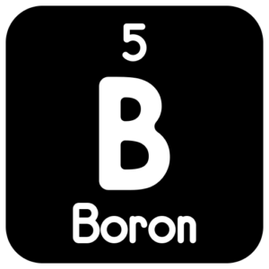Boron (Post-Test)